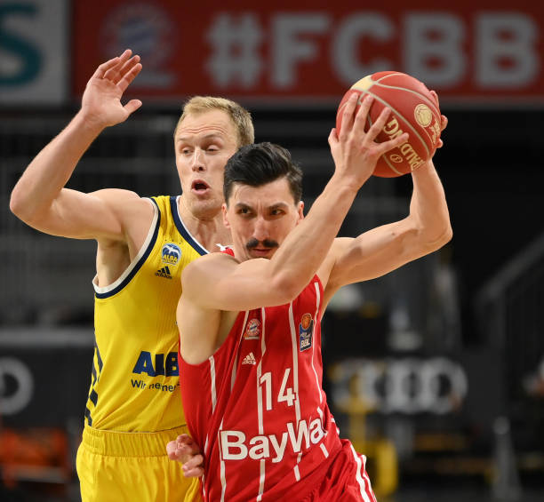 毛球的发展 毛球的发展